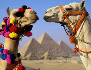 Туры в Египет из Гомеля